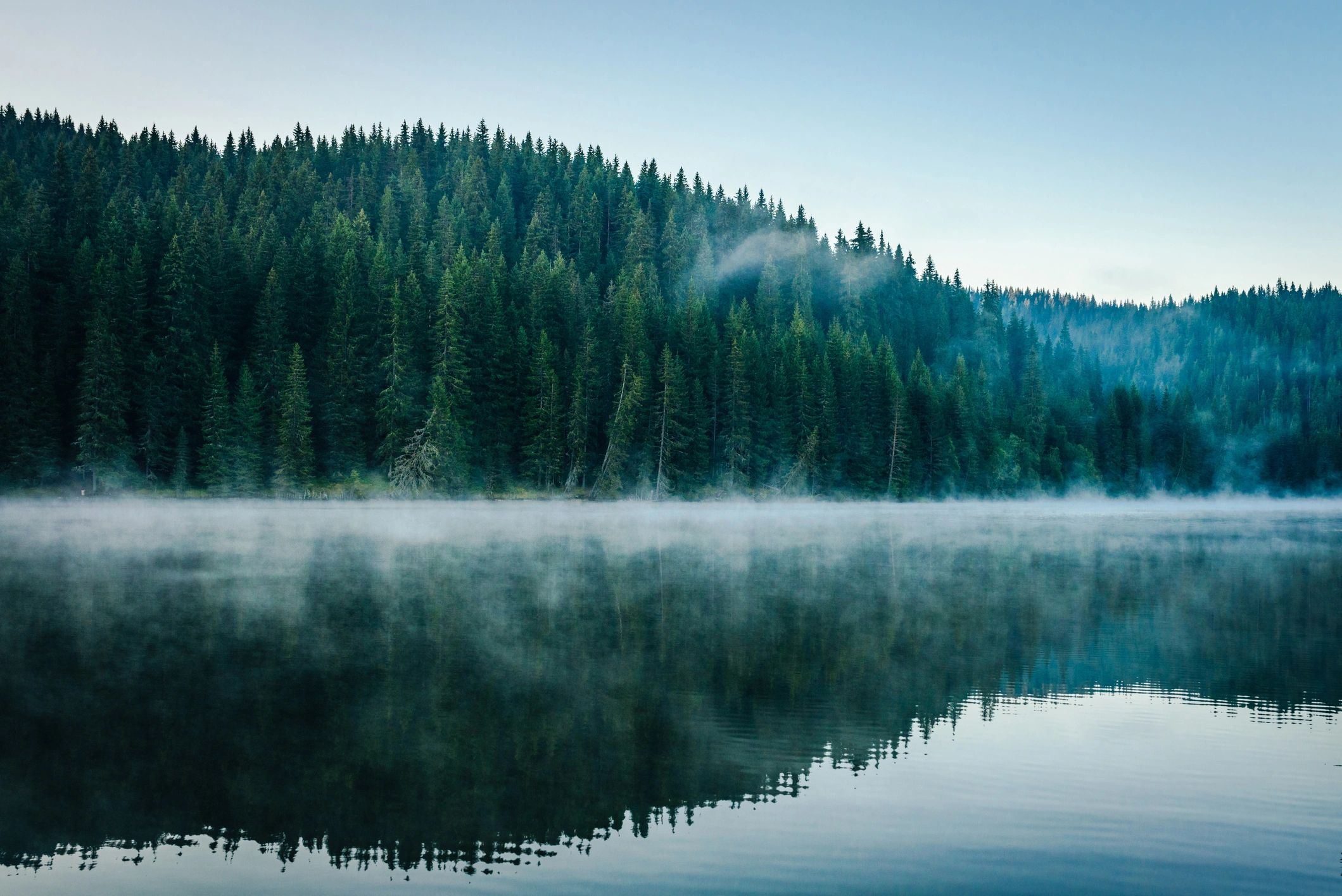 Lake and forest scenery for a nature-focused Hatta experience